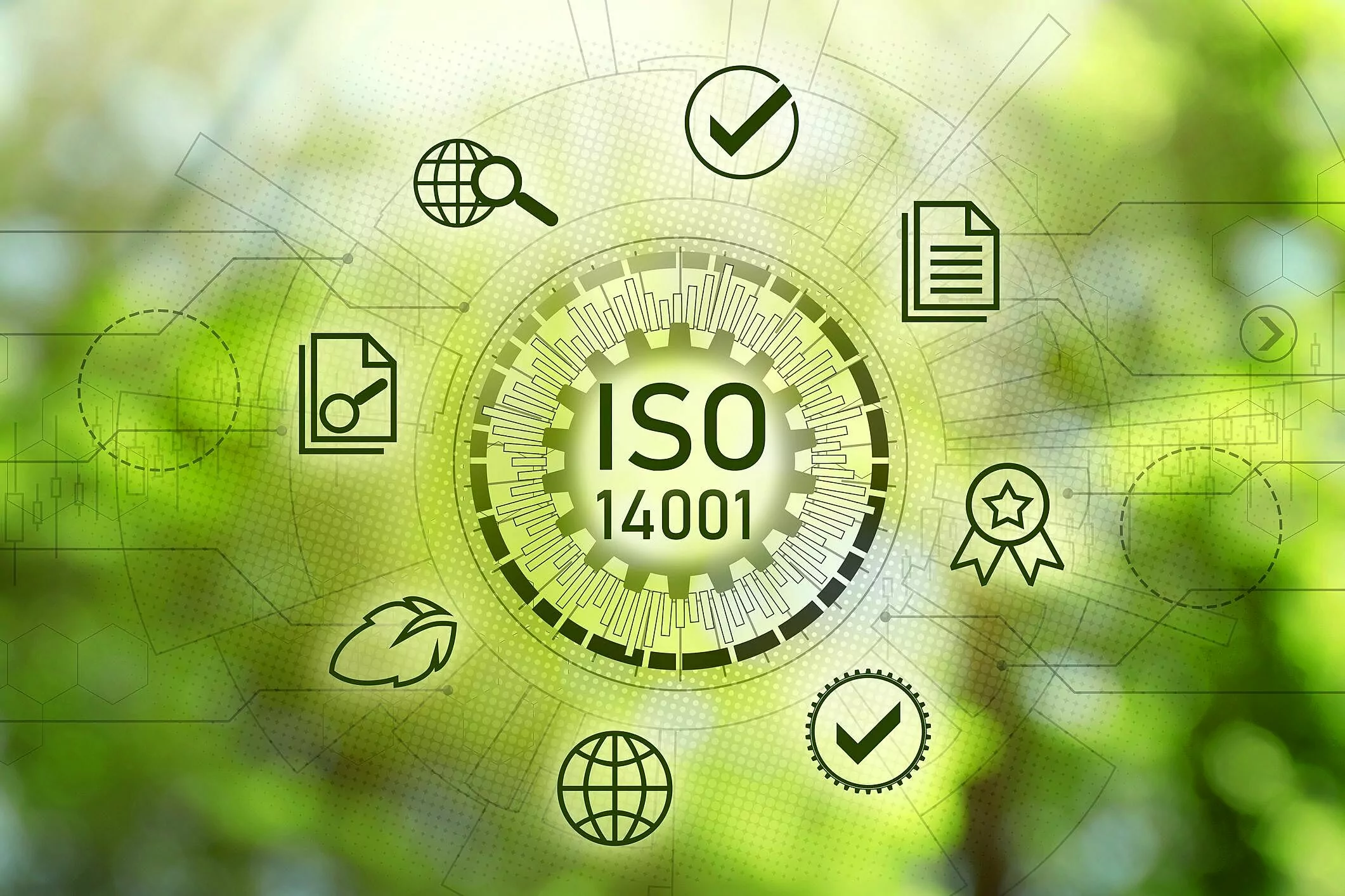 ISO 14001 Colisa