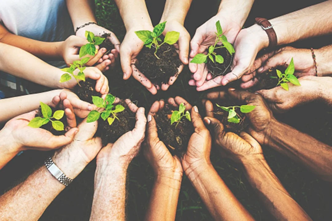 sustentabilidade moldando a indústria colisa